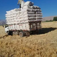 خرید و فروش کاه