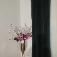 پرده پانچ کناره