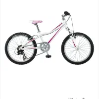 دوچرخه جاینت سایز20 مدل areva2