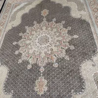 فرش|فرش|تاکستان, |دیوار