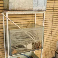 آکواریوم قیمت توافقی|ماهی|اصفهان, مولوی|دیوار