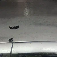 سمند مدل ۸۴ سالم|خودرو سواری و وانت|بهشهر, |دیوار