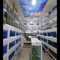 آکواریوم شهر ماهی