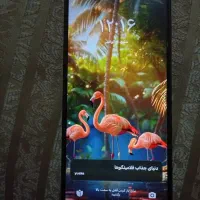 گوشی پوکو سی65|موبایل|تهران, خاک سفید|دیوار