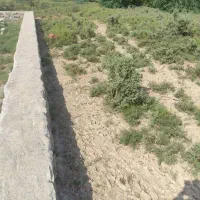فروش زمین دو قطعه