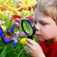 نیازمند سرویس مدرسه هستم