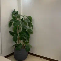 گلدان گل مصنوعی|گل مصنوعی|تهران, درب دوم|دیوار