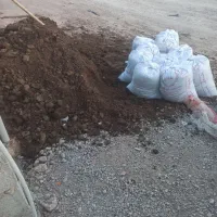 باغبانی .هرس درخت.اره برقی|خدمات باغبانی و درختکاری|کرمان, |دیوار