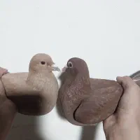 زرد و گلی ، دم زرد