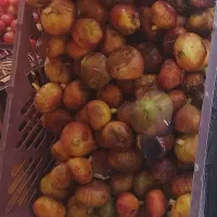 انجیل تازه