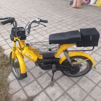 براوو زردقناری