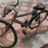 دوچرخه 28 المپیا سالم|دوچرخه، اسکیت، اسکوتر|شیراز, رکنآباد|دیوار