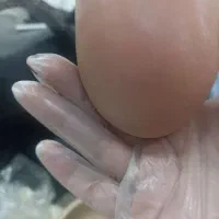 خدمات زیبایی ناخن و اسپا روسی بصورت کاملا حرفهای|خدمات زیبایی و سلامت|شیراز, عفیفآباد|دیوار