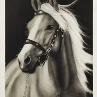 تابلو سیاه قلم