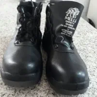 پوتین ایمنی