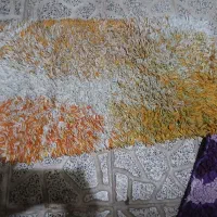 دو جفت پادری