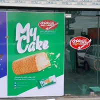 راننده بهمراه ماشین مزدا واریسان