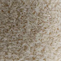 برنج لاشه هاشمی|خوردنی و آشامیدنی|کوچصفهان, |دیوار