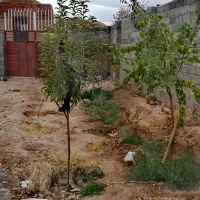 خونه باغ نقلی