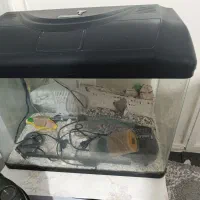 اکواریوم با تمام تجهیزات