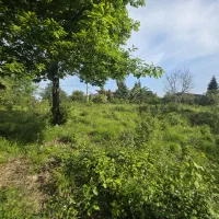 ۲۰۰۰متر زمین مسکونی کوهپایه در شهرک اختصاصی