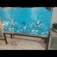 آکواریم شیشه ایی بزرگ و کوچک|ماهی|خرمآباد, |دیوار