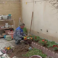 خدمات باغبانی گل کاری هرس کاری تعویض خاک وگدان