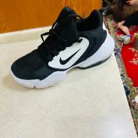 کفش اسپورت