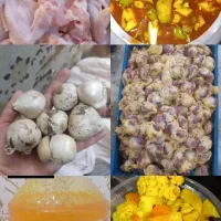 کره گاو دوغ گاو و ....