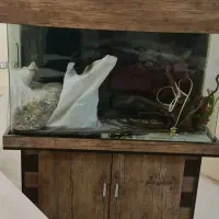 فروش اکواریوم با تمام لوازم