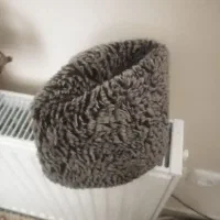 کلاه مر دانه وکلاه بچه گانه