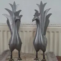 خروس علامت
