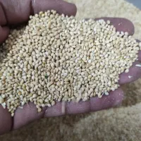 ارزن درجه یک ایرانی