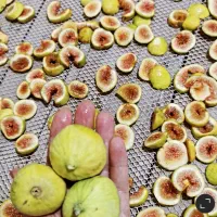 انجیر خشک ارگانیک|خوردنی و آشامیدنی|قم, شهید صیاد شیرازی|دیوار
