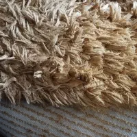 فرش ۶ متری شگی