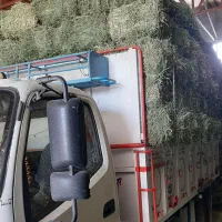 یونجه انباری چین ۲|خدمات باغبانی و درختکاری|زنجان, |دیوار