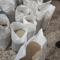 برنج هاشمی وبرنج کاظمی و صدری دم سیاه درجه یک خالص|خوردنی و آشامیدنی|کرمان, |دیوار