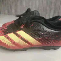 کفش فوتبال چمن طبیعی|کیف، کفش، کمربند|طبس, |دیوار