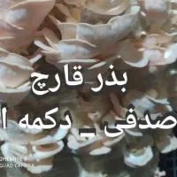 فروش کمپوست قارچ/فروش بذر قارچ/فروش خاک پوششی|خدمات باغبانی و درختکاری|اردبیل, |دیوار