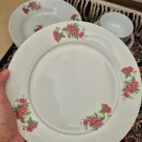 پلوخوری گل سرخی