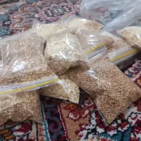 جوجه|حیوانات مزرعه|اهواز, کیانشهر|دیوار
