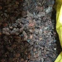 کشمش آفتابی، ضایعات خرمای شیرازی، ضایعات توت خشک