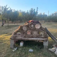 کندوی زنبور