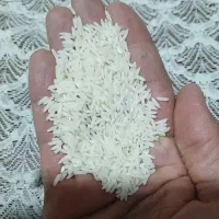 برنج طارم هاشمی درجه یک بدون واسطه