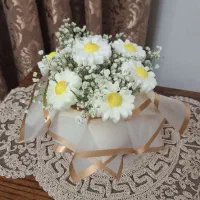 باکس گل بابونه