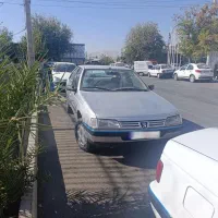 پژو88توکرم کم کار، ریگان