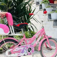 فروش ۲ عدد دوچرخه|دوچرخه، اسکیت، اسکوتر|چوبر, |دیوار