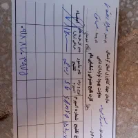 گاو و گوساله ماده سیمینتال|حیوانات مزرعه|بیلوار, |دیوار