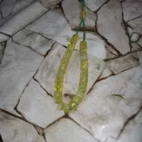 تسبیح سندلوس و ساری لیخ