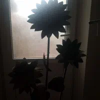 اباژور ایستاده